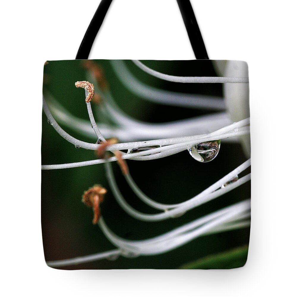 Flower Tote Bag featuring the photograph Honeysuckle Dewdrop by William Selander