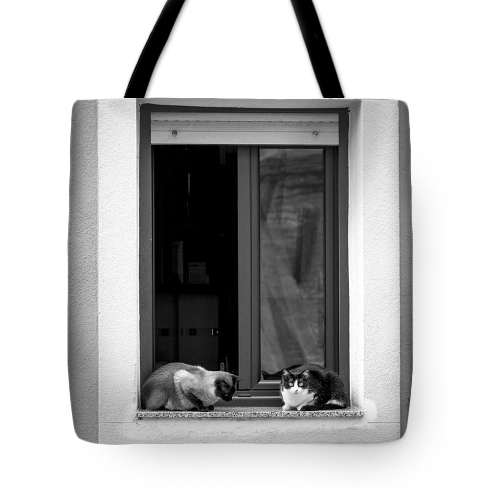 Cats Tote Bag featuring the photograph Hood Cats by Santi Carral