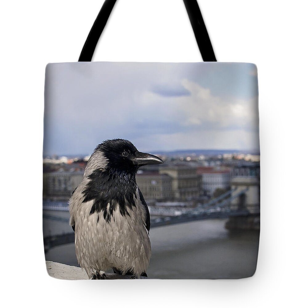Hooded Crow Tote Bag featuring the photograph Hooded Crow by Heather Applegate