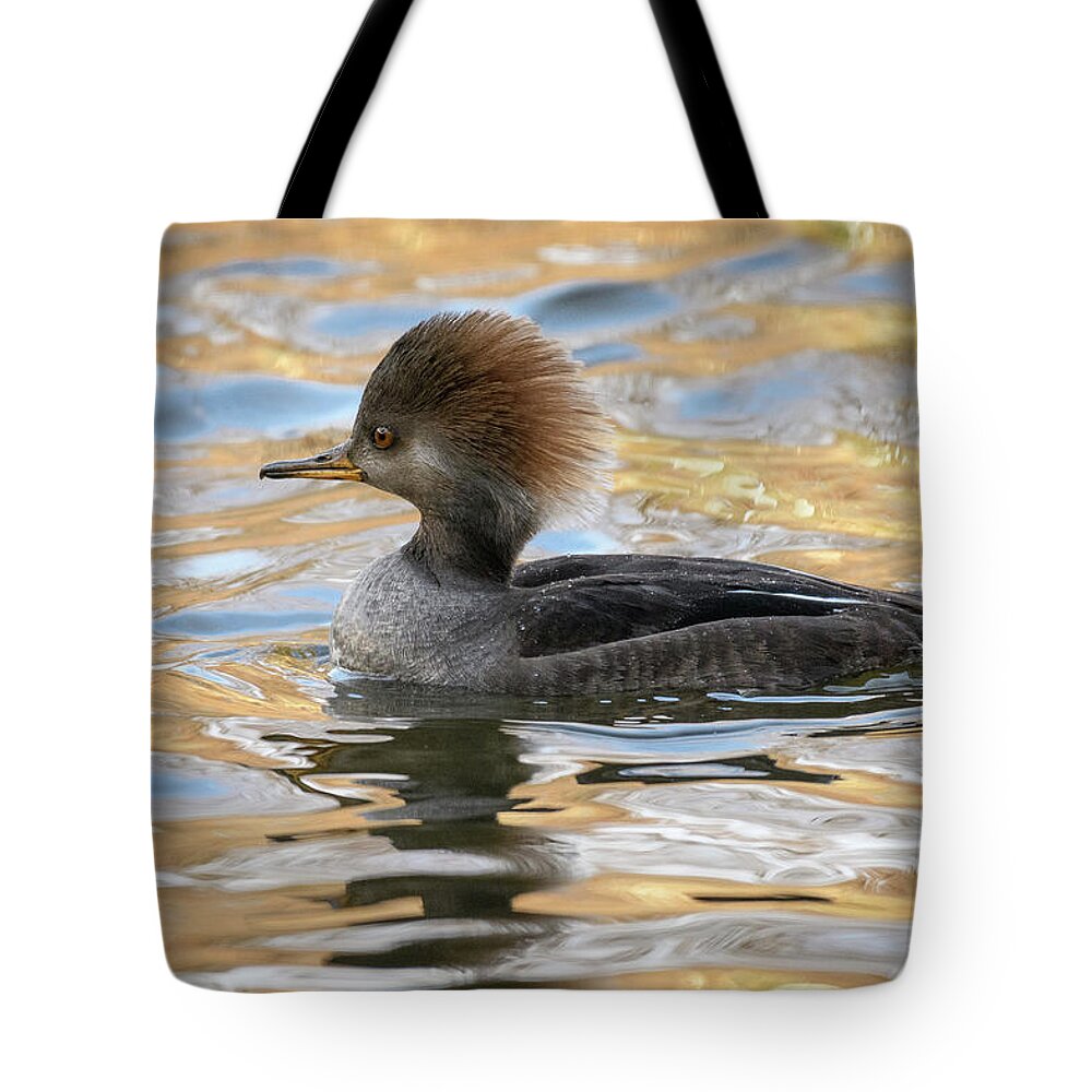 Hooded Merganser Female Tote Bag featuring the photograph Hooded Merganser Female by Michael Hubley