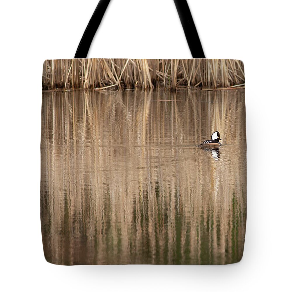 Hooded Merganser Tote Bag featuring the photograph Hooded Merganser in the Morning Light by Natural Focal Point Photography