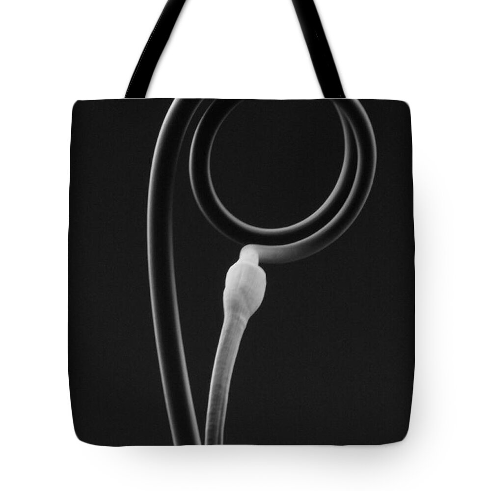 Black And White Tote Bag featuring the photograph Hoop Dreams by Thomas Pipia