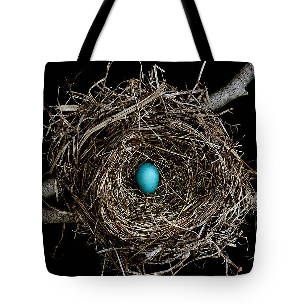 Bird Tote Bag featuring the photograph Hope 1 by Mark Fuller