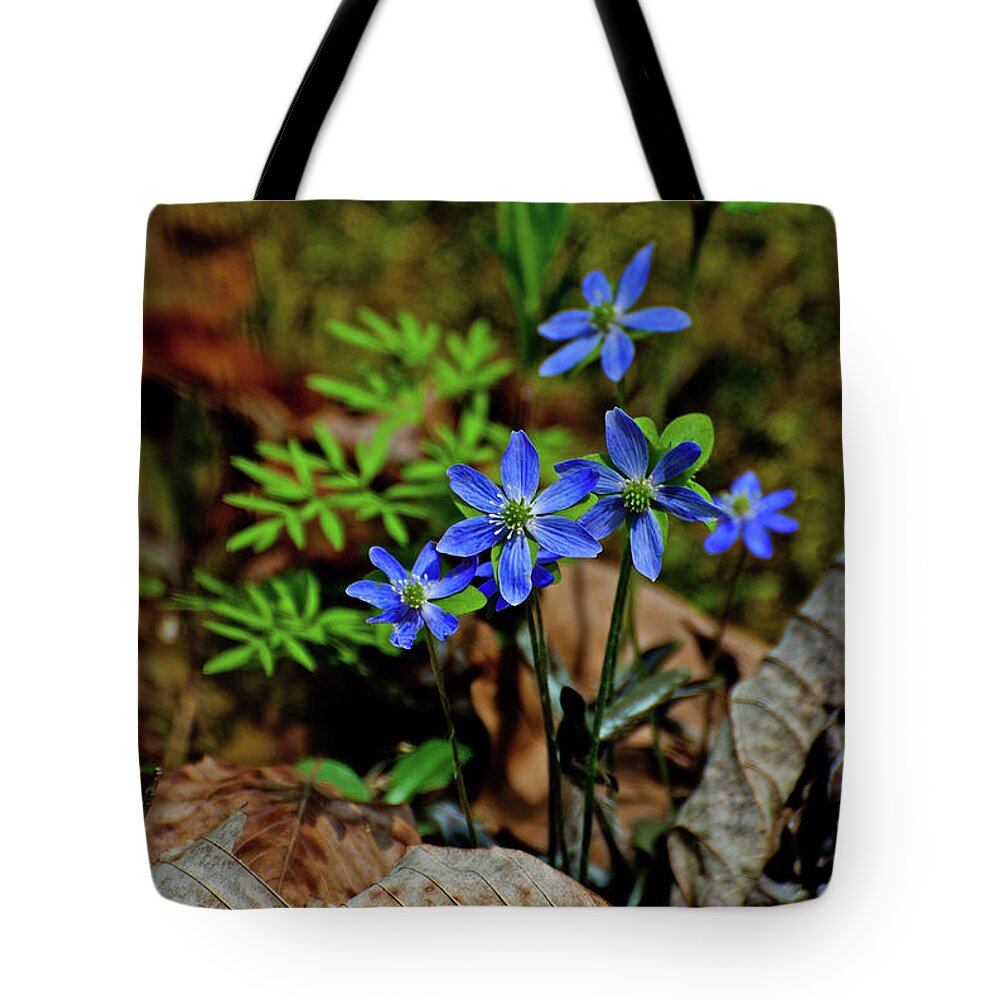 Flower Tote Bag featuring the photograph Hope Springs by Rebecca Higgins