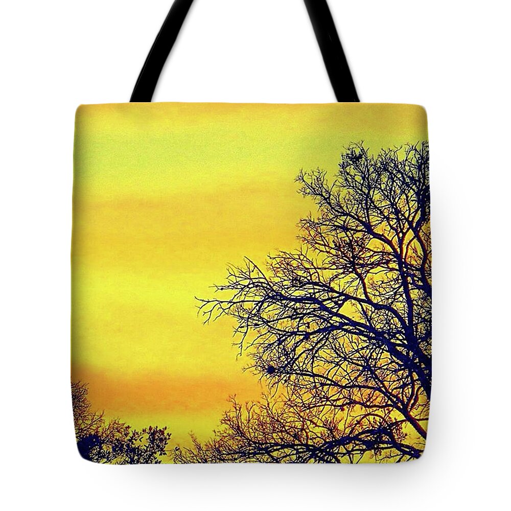 Beauty Tote Bag featuring the photograph Hope That Your #newyear Is Filled With by Austin Tuxedo Cat