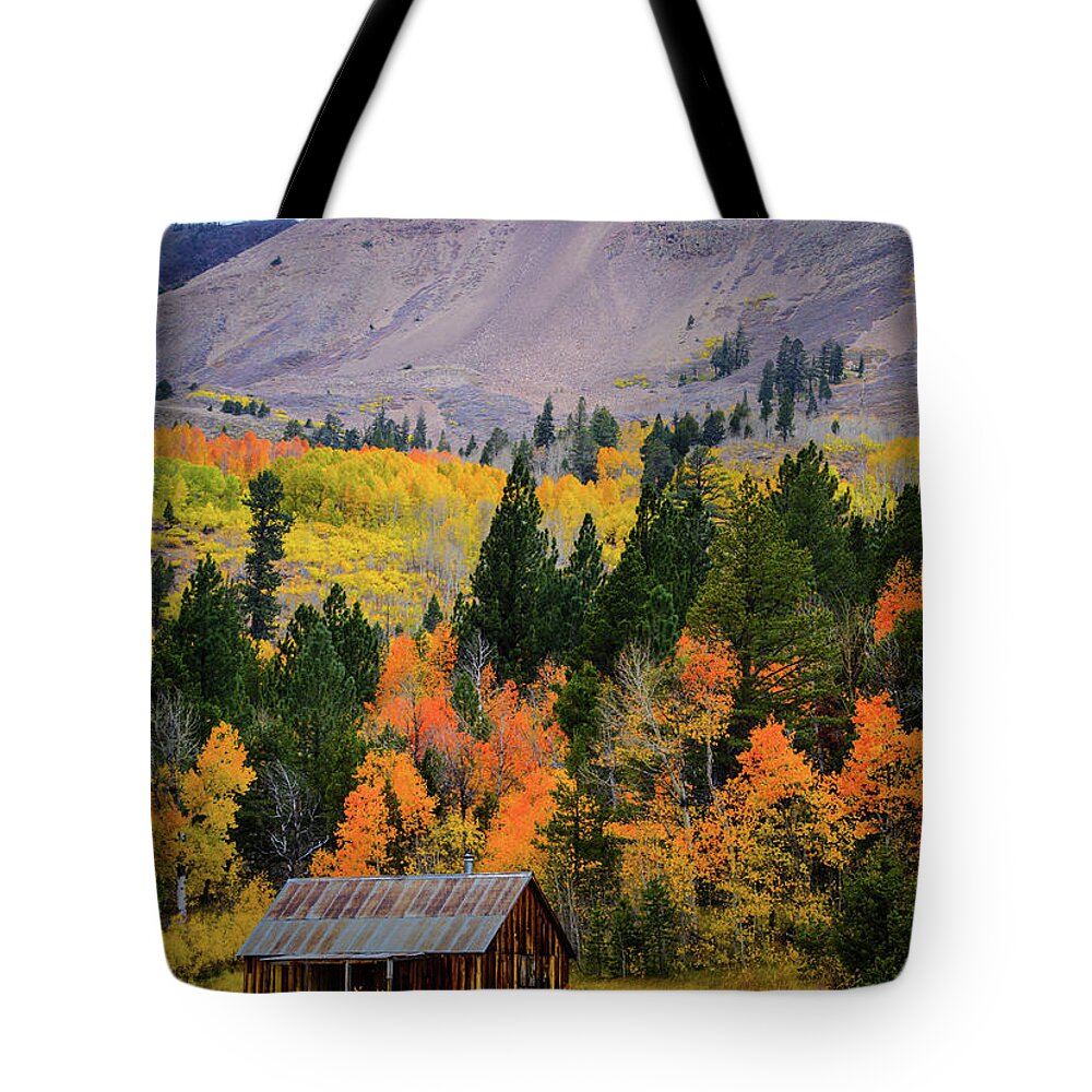 Hope Valley Tote Bag featuring the photograph Hope Valley Cabin by Steph Gabler