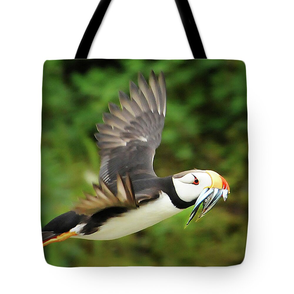 Puffin Tote Bag featuring the photograph Horned Puffin by Ted Keller