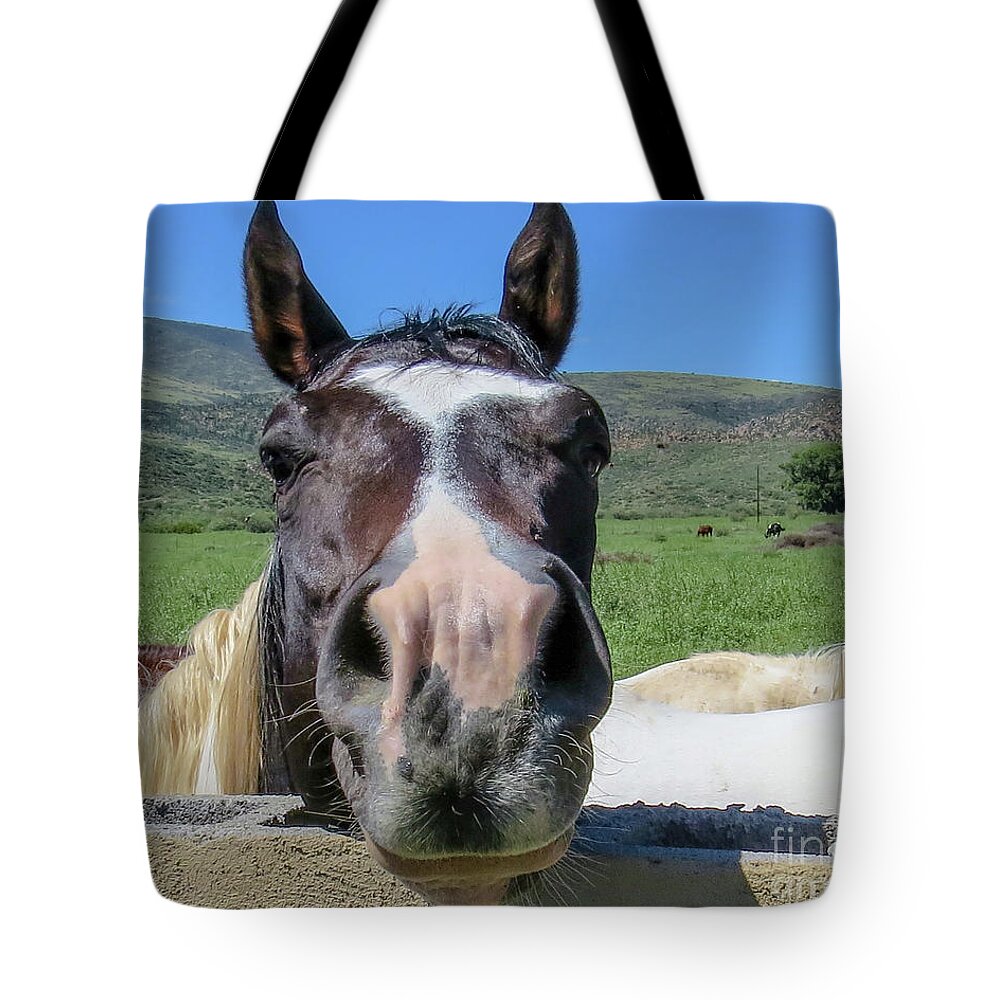 Horse Tote Bag featuring the photograph Horse 13 by Christy Garavetto