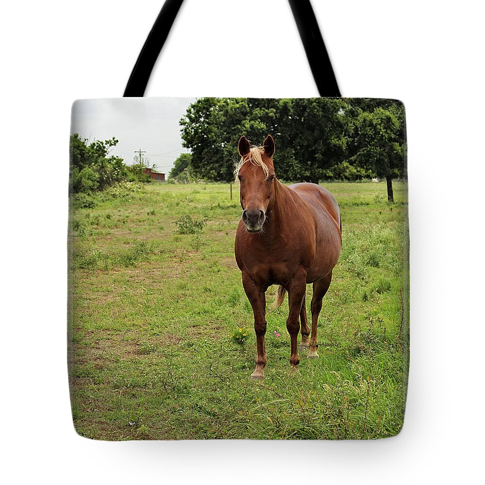 Horse Tote Bag featuring the photograph Horse Country by Ella Kaye Dickey