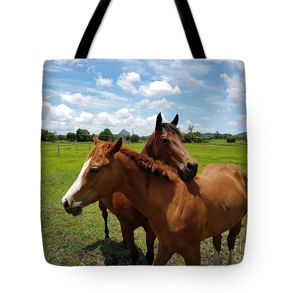 Horses Tote Bag featuring the photograph Horse Cuddles by Cassy Allsworth