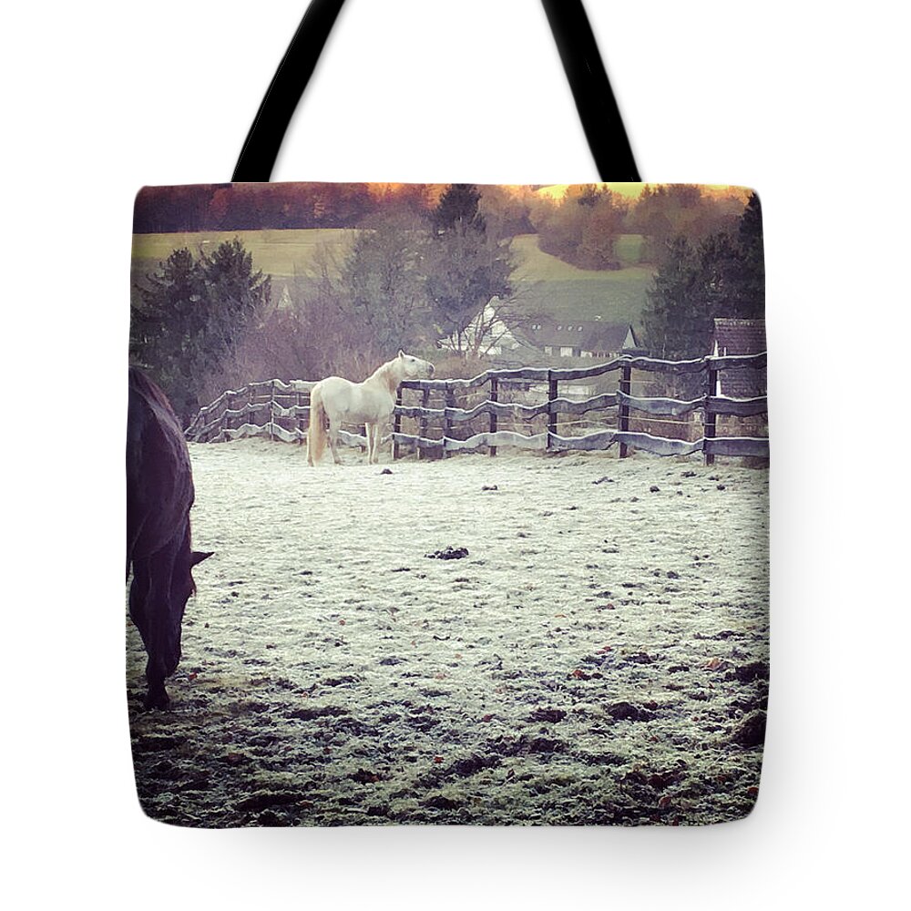 Horses Tote Bag featuring the photograph Horses On A Frosty Pasture by Amy Challenger