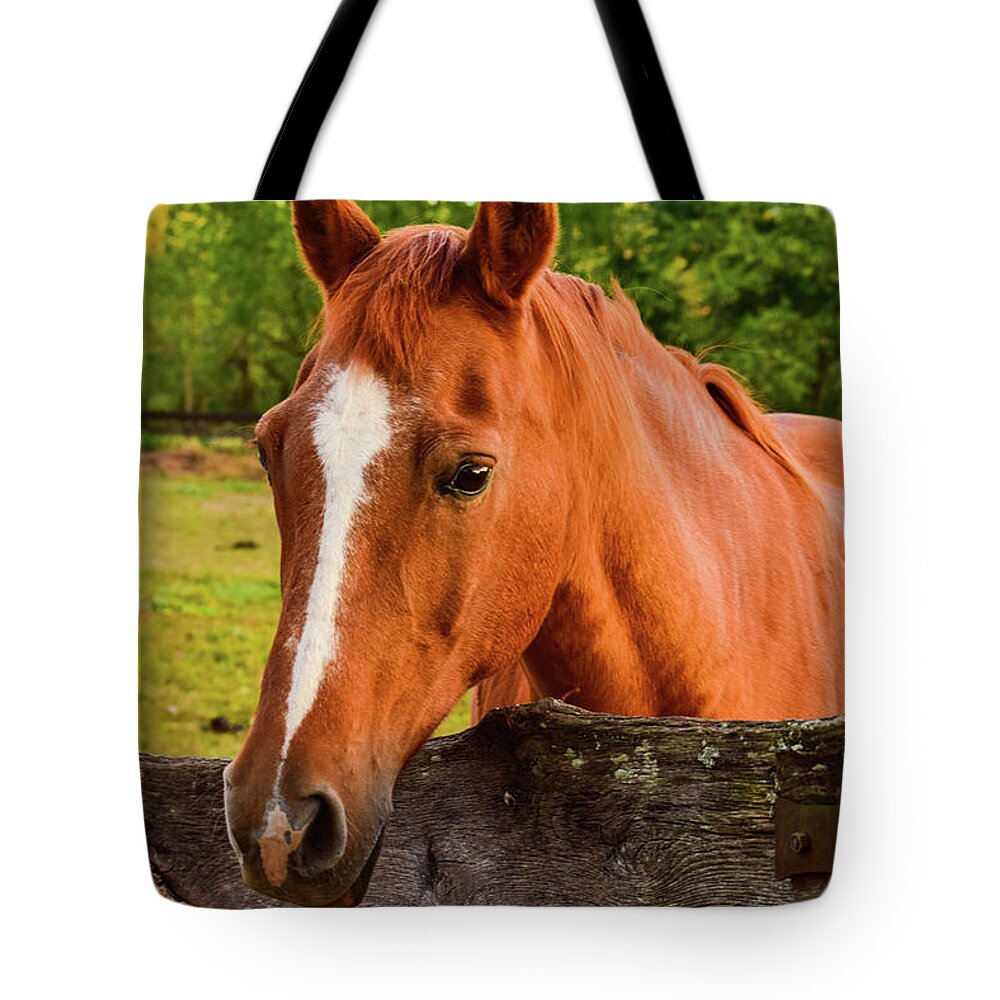 Horse Tote Bag featuring the photograph Horse Friends by Nicole Lloyd