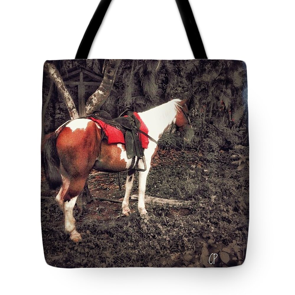 Landscape Tote Bag featuring the photograph Horse in Red by Christine Paris