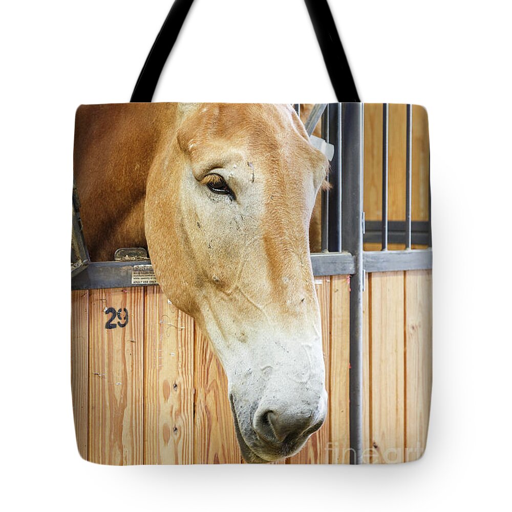 Horse Tote Bag featuring the photograph Horse in Stall by Terri Morris