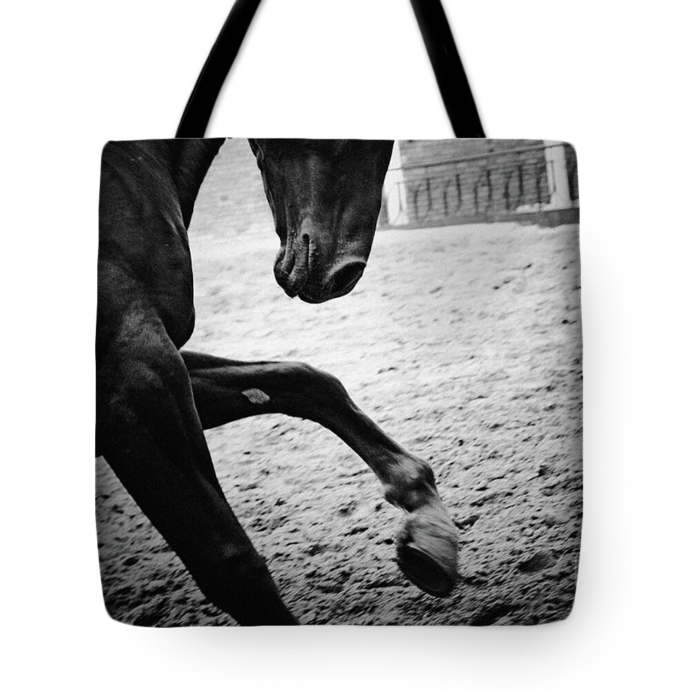 Horse Tote Bag featuring the photograph Horse monochrome emotions by Dimitar Hristov