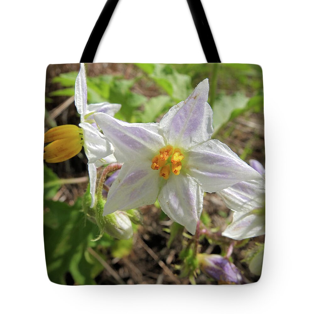 Flower Tote Bag featuring the photograph Horse Nettle by Scott Kingery
