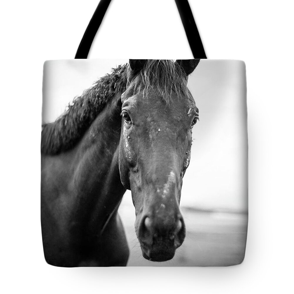  Tote Bag featuring the photograph Horse Play by Aleck Cartwright