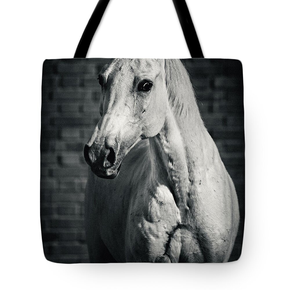 Horse Tote Bag featuring the photograph Horse portrait on the brick background II by Dimitar Hristov