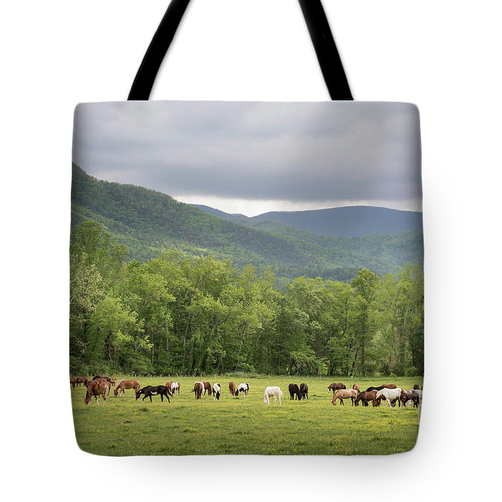 Horses Tote Bag featuring the photograph Horses Abound by Andrea Silies
