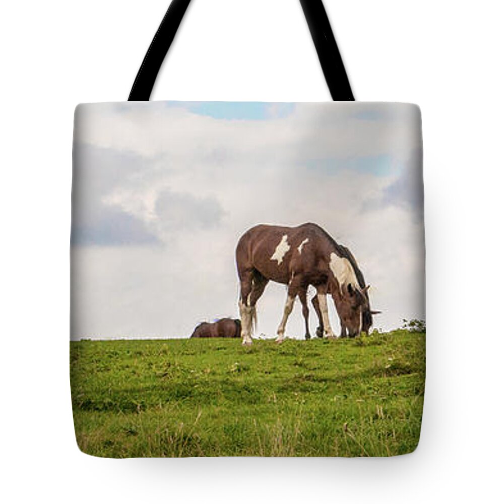 Horses Tote Bag featuring the photograph Horses and Clouds by D K Wall