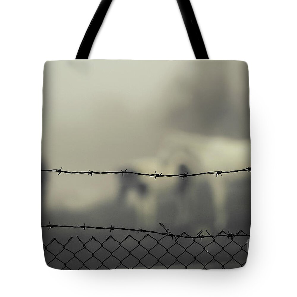 Horse Tote Bag featuring the photograph Horses in the mist behind barbed wire by Dimitar Hristov