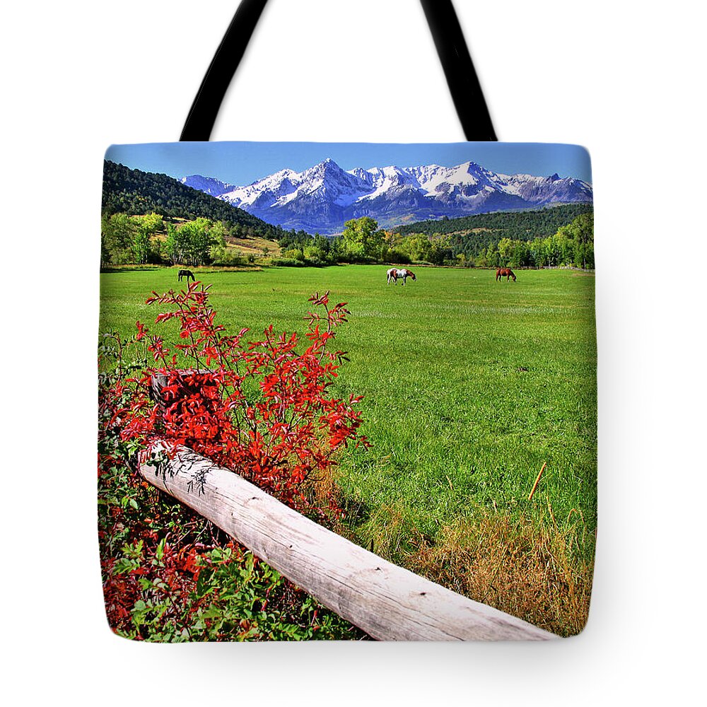 Colorado Tote Bag featuring the photograph Horses in The San Juans by Scott Mahon