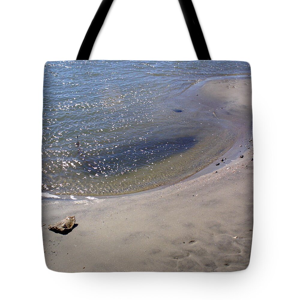 Landscape Tote Bag featuring the photograph Horseshoe Crab by Jean Wolfrum