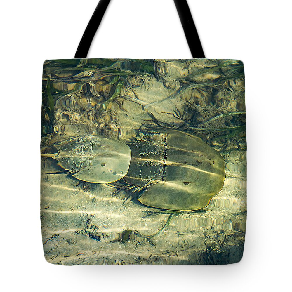 Ocean Tote Bag featuring the photograph Horseshoe Crabs by Bob Slitzan