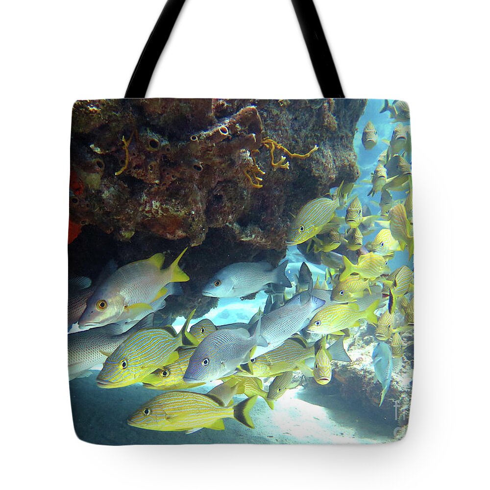Underwater Tote Bag featuring the photograph Horseshoe Reef 2 by Daryl Duda