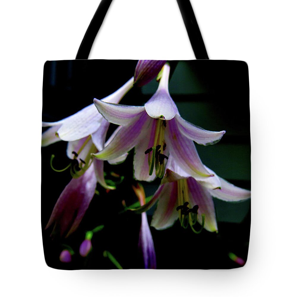 Purple Blossoms Tote Bag featuring the photograph Hostas Blossoms by Linda Stern
