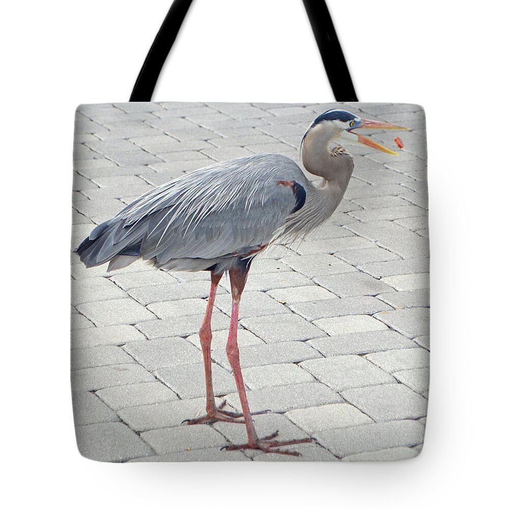 Great Blue Heron Tote Bag featuring the digital art Hot Dog Eating Great Blue Heron by Eva Kaufman