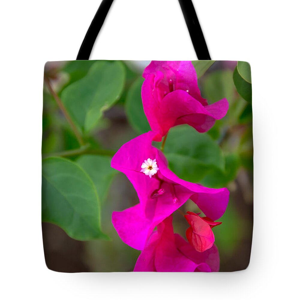 Cheryl Baxter Photography Tote Bag featuring the photograph Hot Pink Bougainvillea by Cheryl Baxter
