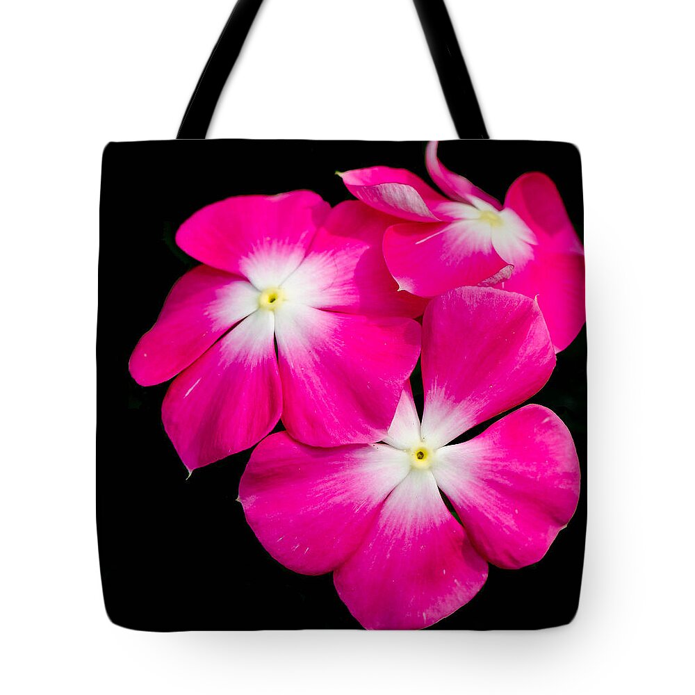 Pink Tote Bag featuring the photograph Hot Pink Flora by Bruce Pritchett
