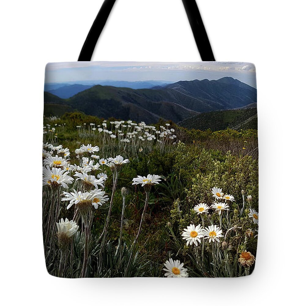 Hotham Tote Bag featuring the pyrography Hotham by Glen Johnson