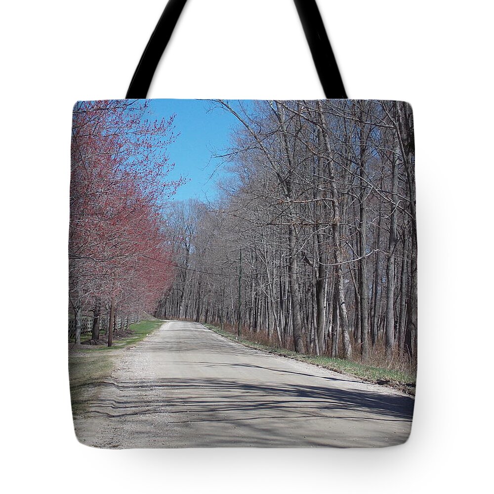 Housatonic River Road Tote Bag featuring the photograph Housatonic River Rd by Catherine Gagne