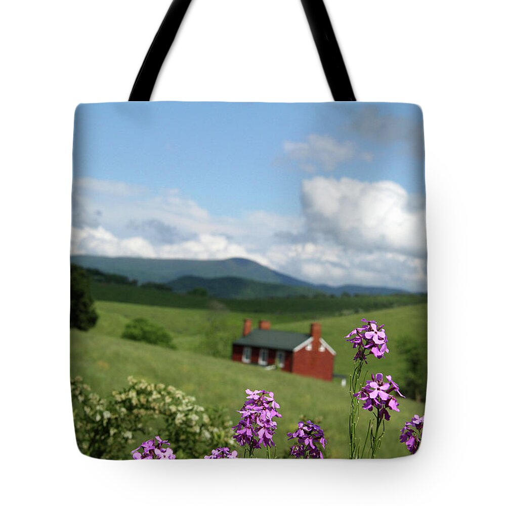 Grass Tote Bag featuring the photograph House on hill in Lexington by Emanuel Tanjala