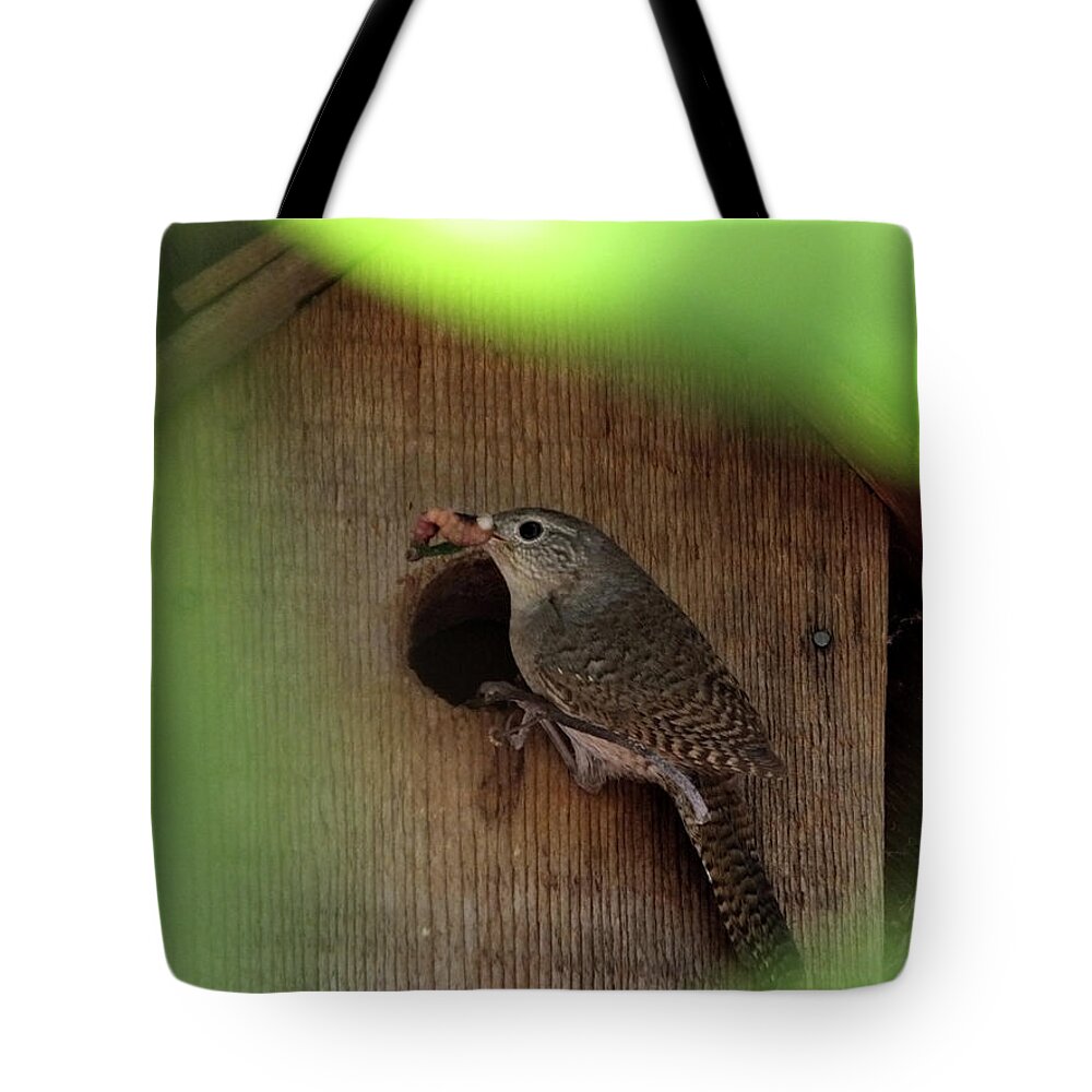 Birds Tote Bag featuring the photograph House Wren Brings Breakfast by Mark Alan Perry