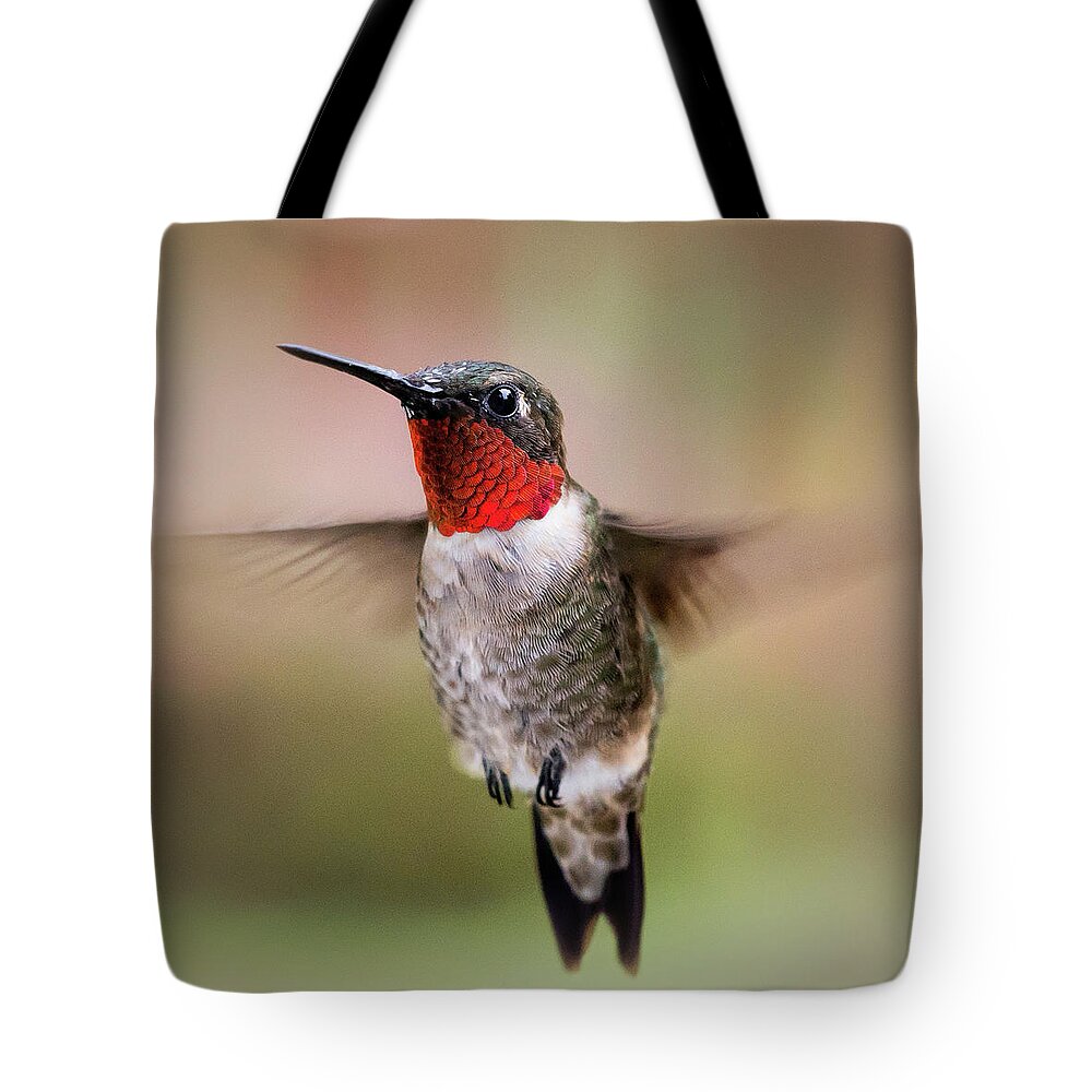Hummingbird Tote Bag featuring the photograph Hovering I by Richard Macquade