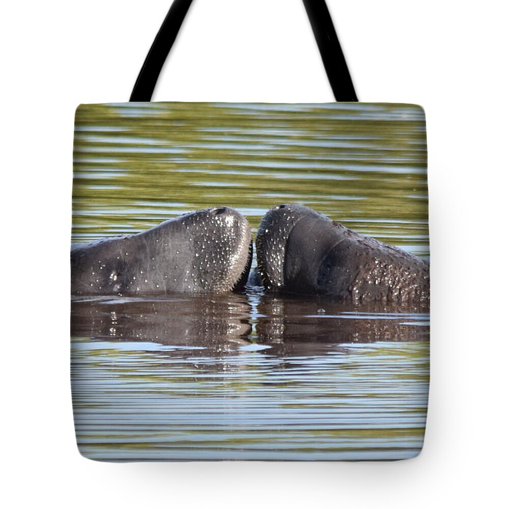 Manatee Tote Bag featuring the photograph How about a kiss? by Jim Bennight