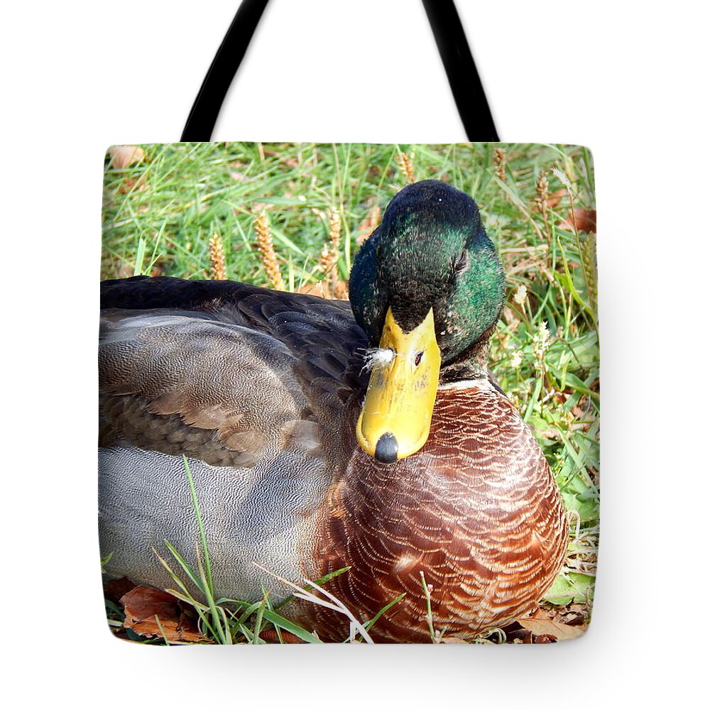 Autumn Tote Bag featuring the photograph How Embarrassing A Feather in My Nose by Wild Thing