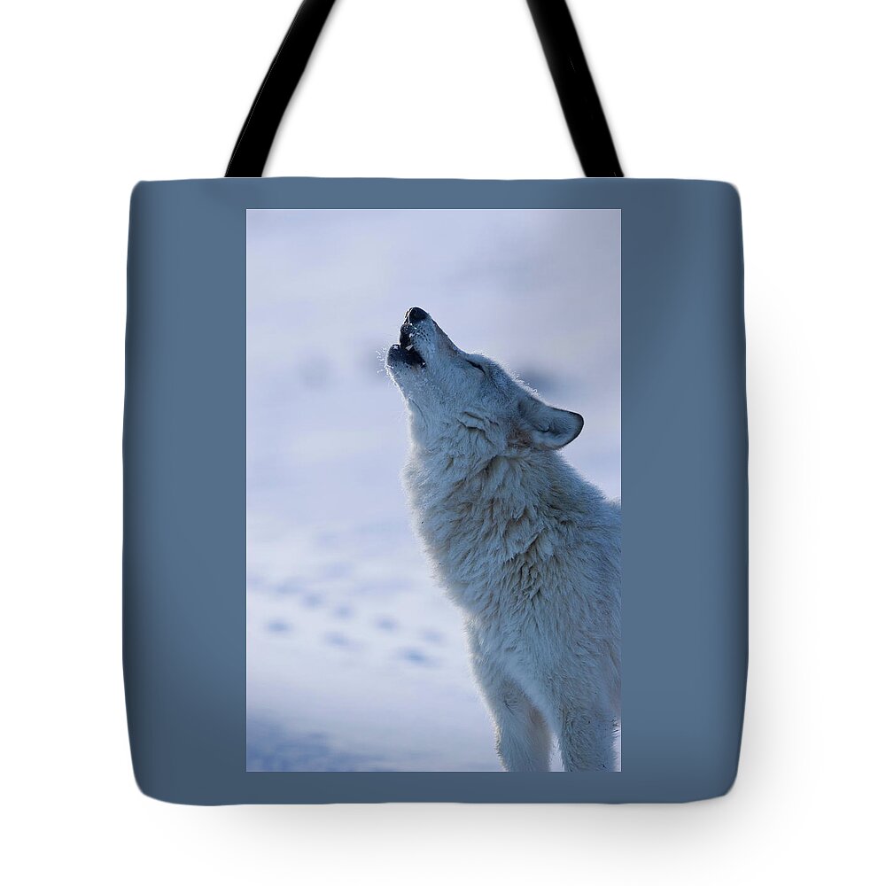 Wild Tote Bag featuring the photograph Howl of the White Wolf by Mark Miller