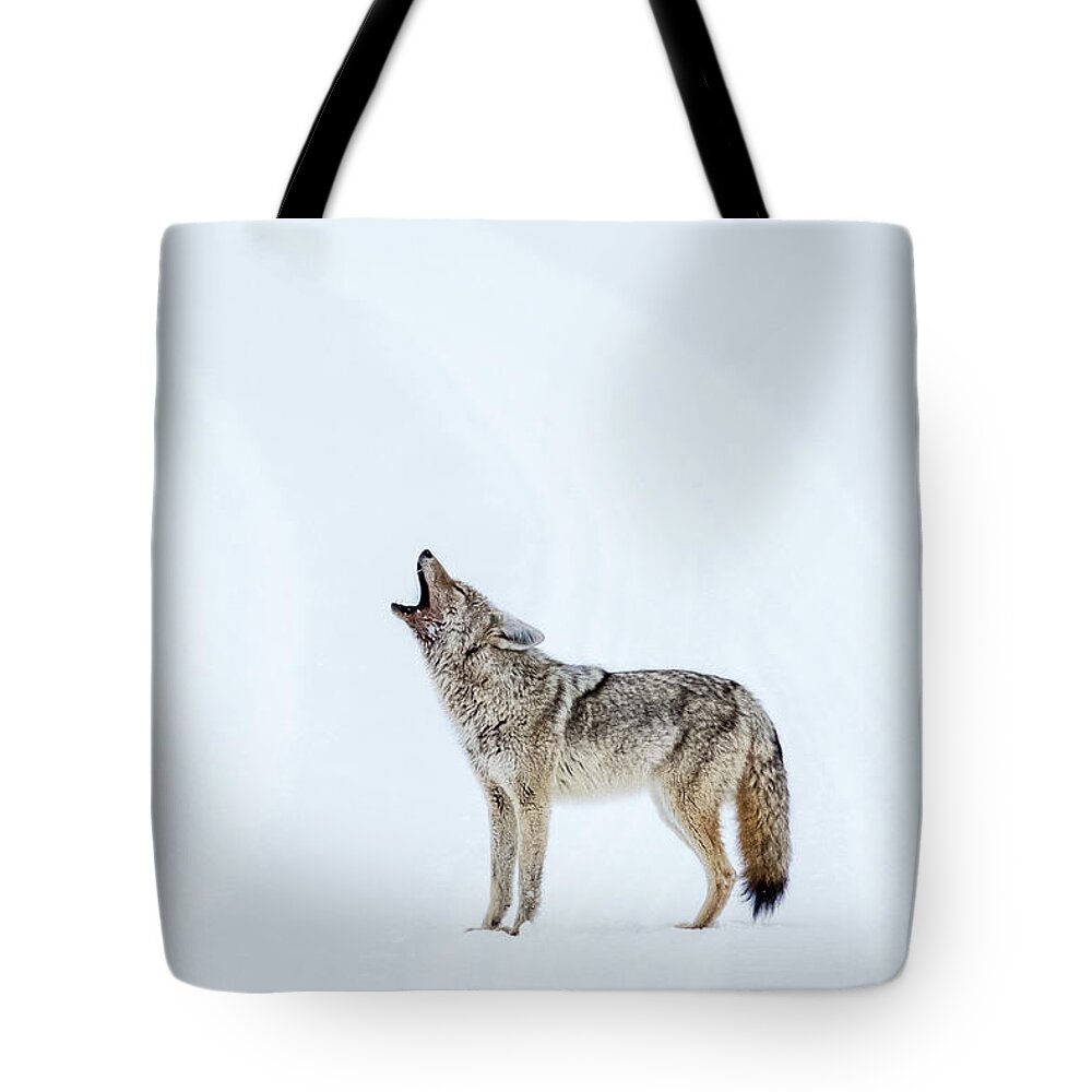 Snow Tote Bag featuring the photograph Howling Coyote - Yellowstone by Stuart Litoff