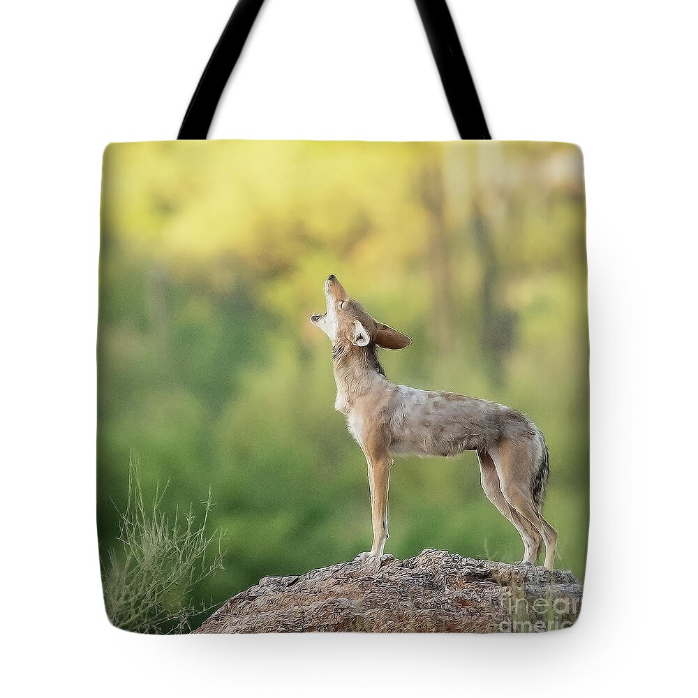 Coyote Tote Bag featuring the photograph Howling For Breakfast by Diane Enright