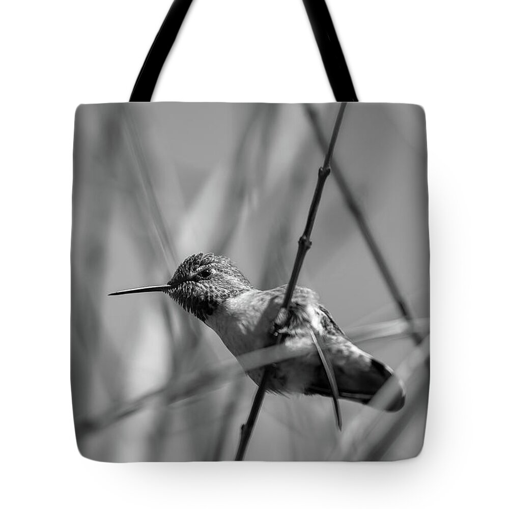 Nature Tote Bag featuring the photograph Humming Bird BW by Jonathan Nguyen