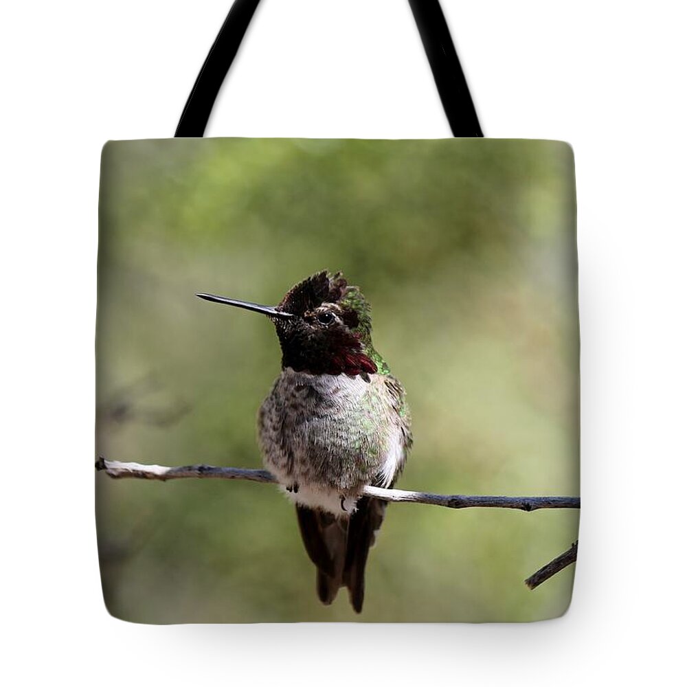 Hummingbird Tote Bag featuring the photograph Hummingbird - 5 by Christy Pooschke