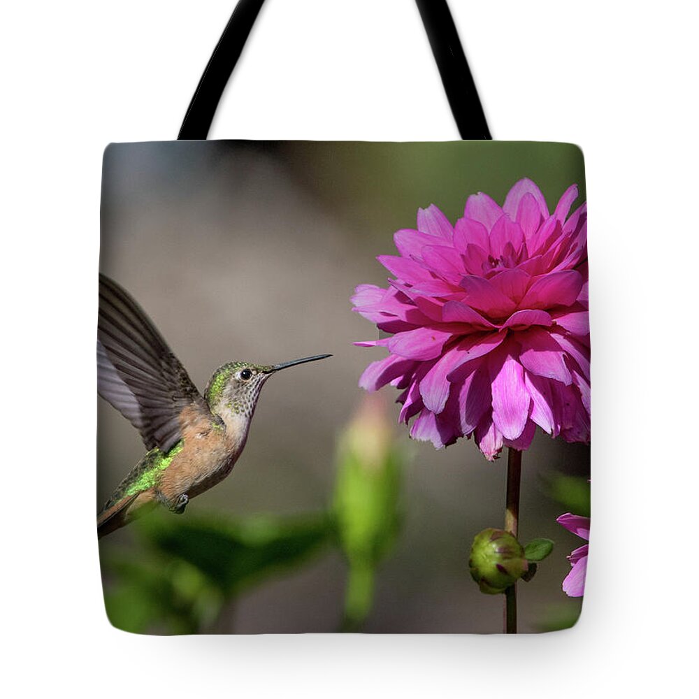 Action Tote Bag featuring the photograph Hummingbird and Pink Zinnia by Dawn Key
