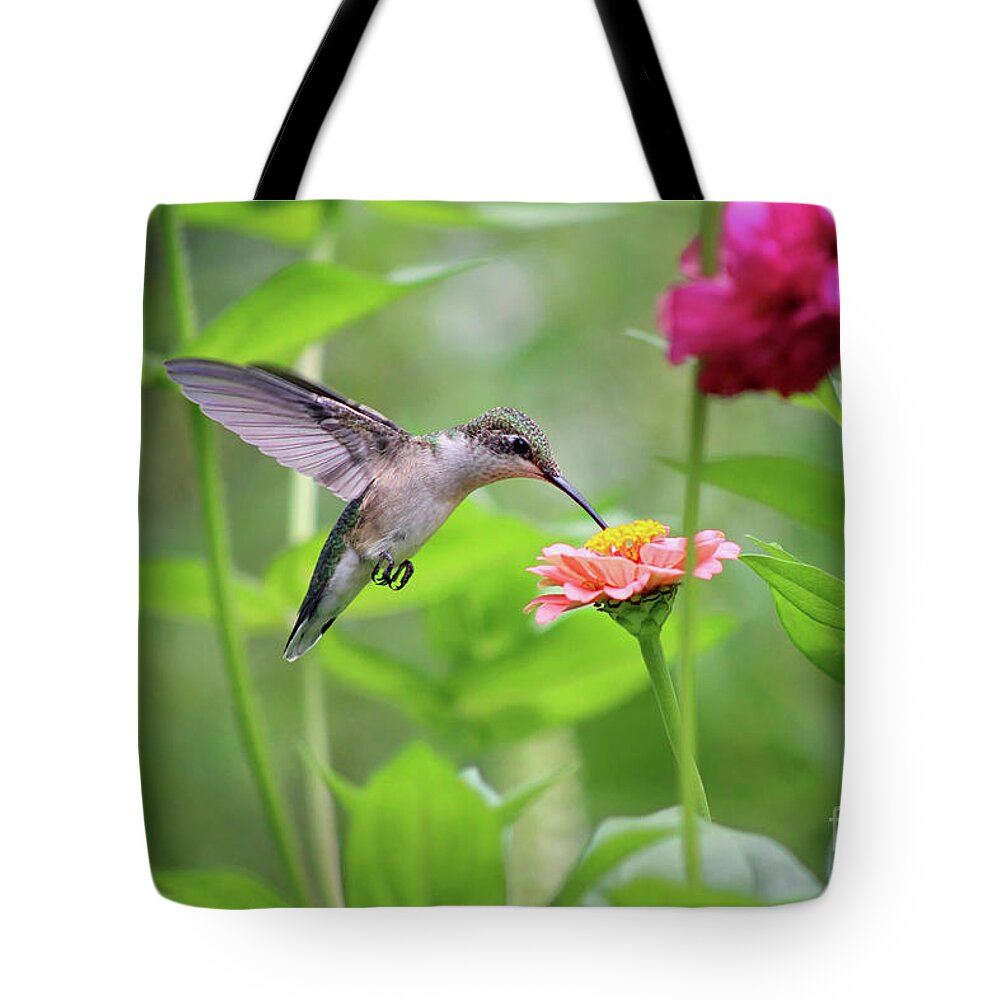 Hummingbird Tote Bag featuring the photograph Hummingbird at Zinnia in Garden by Karen Adams