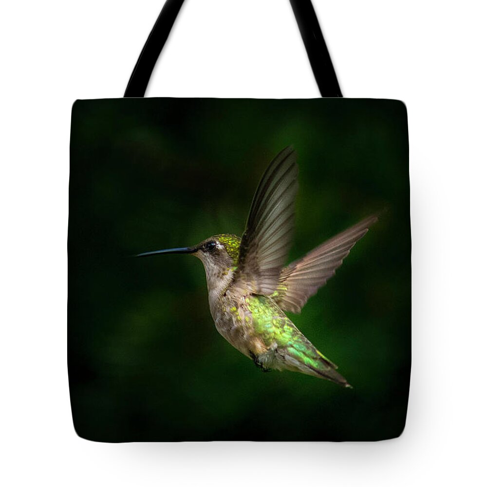 Young Ruby Throated Hummingbird Tote Bag featuring the photograph Hummingbird b by Kenneth Cole