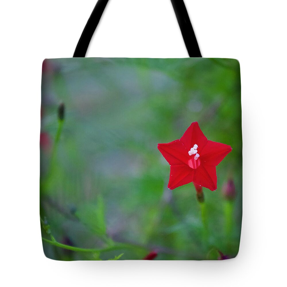 Photograph Tote Bag featuring the photograph Hummingbird Bait by M E