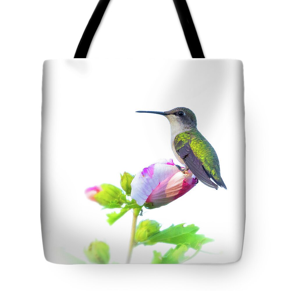 Hummingbird Tote Bag featuring the photograph Hummingbird by Brian Caldwell